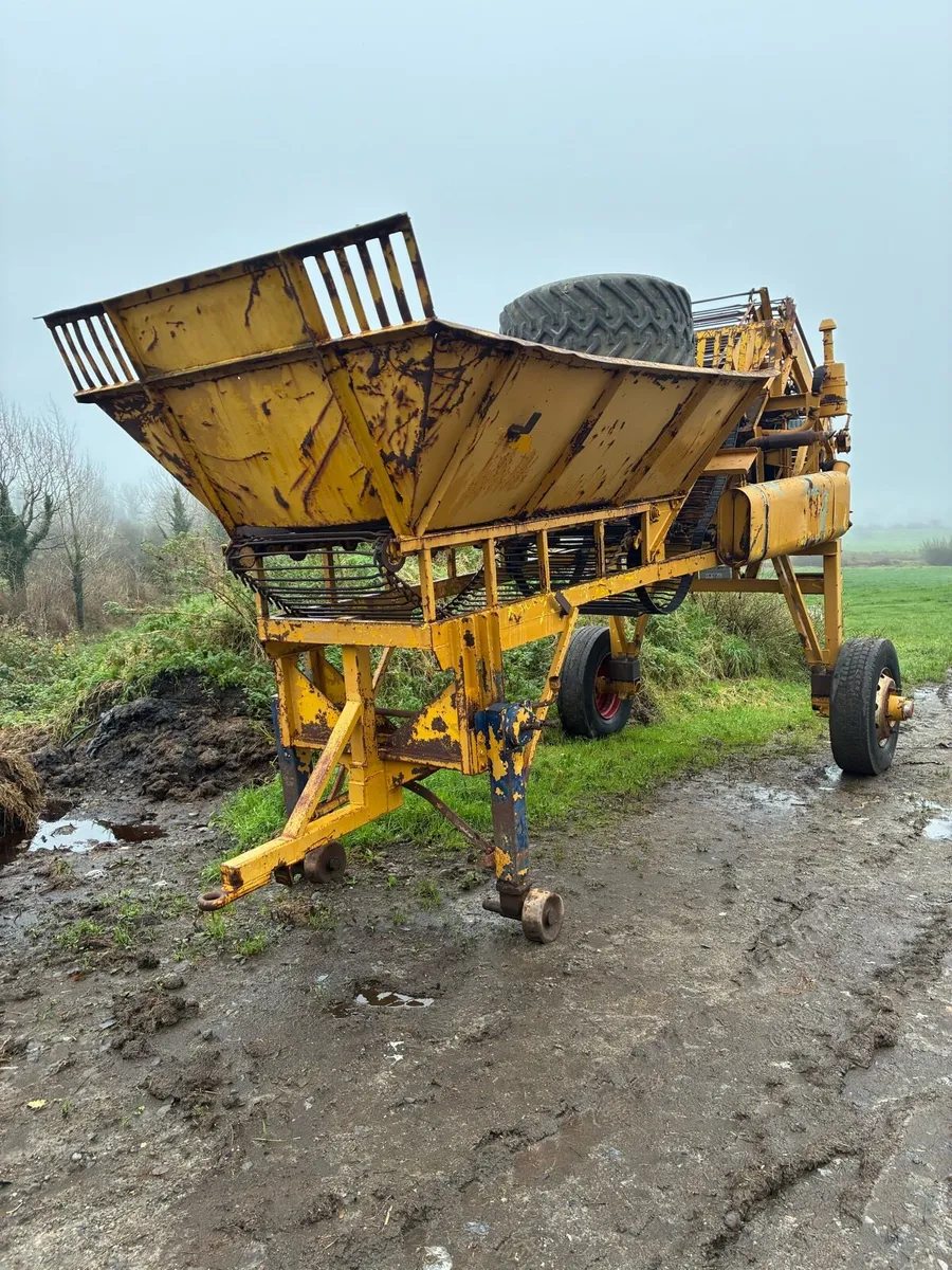 Beet cleaner loader - Image 1