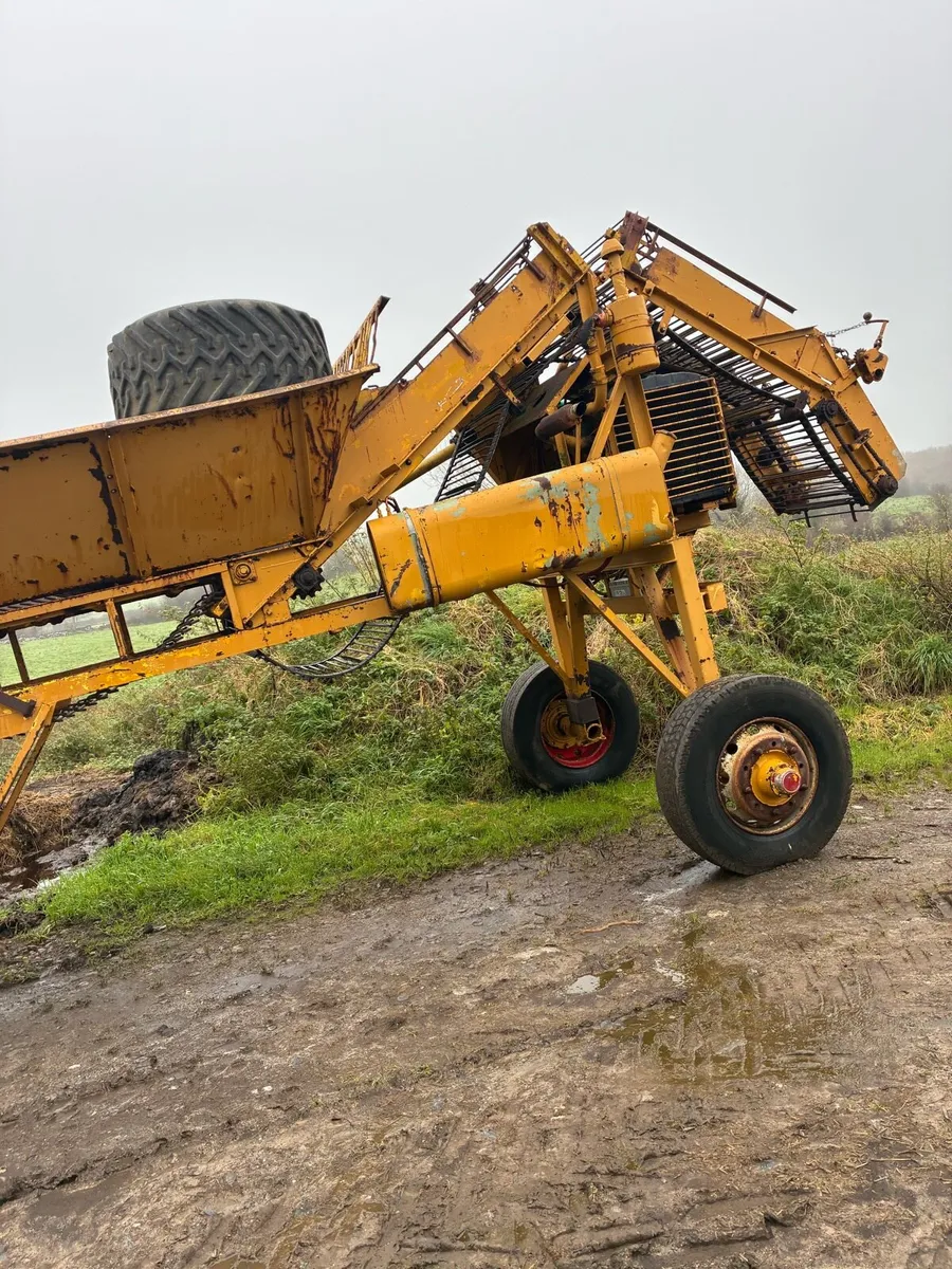 Beet cleaner loader - Image 2