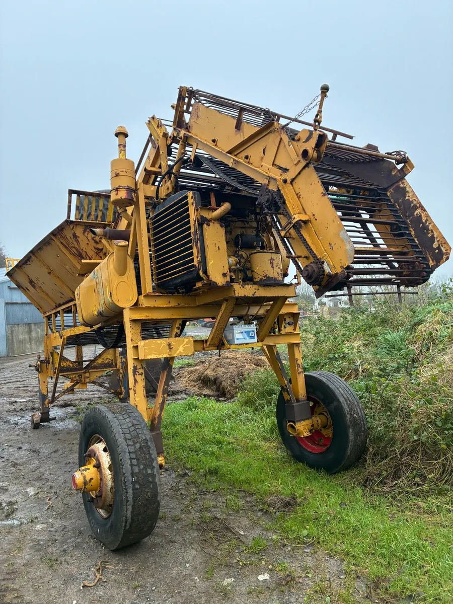 Beet cleaner loader - Image 3