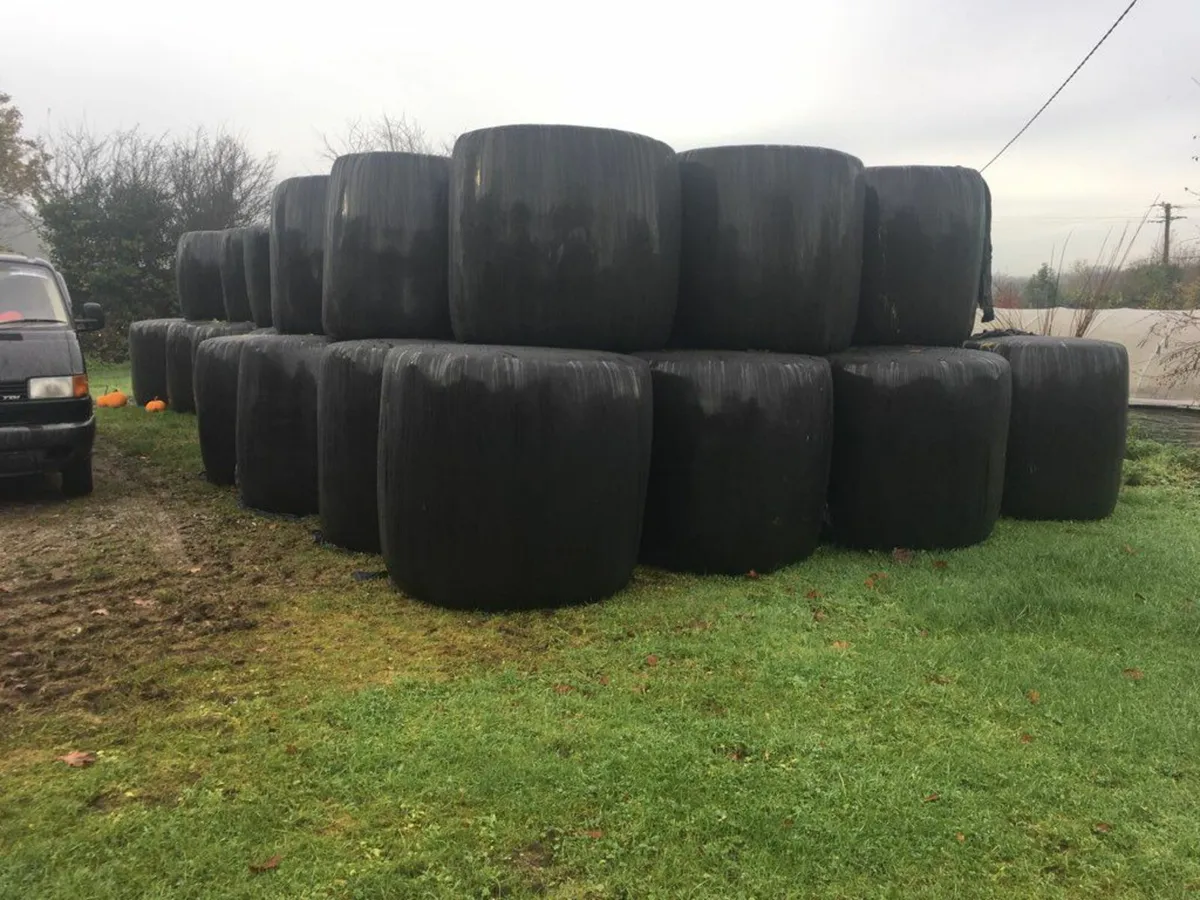 Round Bales of Silage in WESTMEATH
