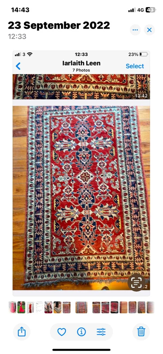 Arabian rug