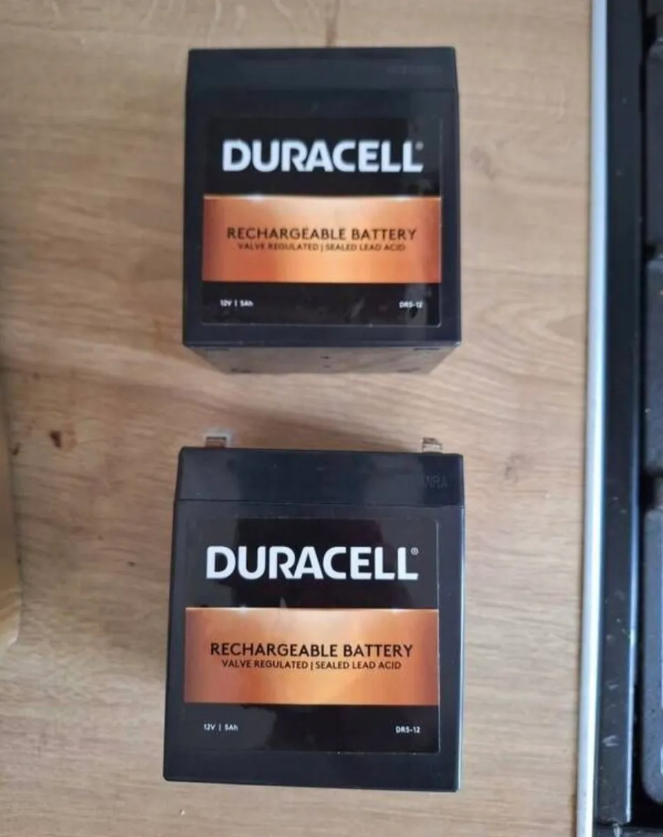 2 x Duracell 12v batteries