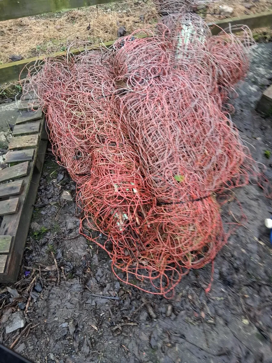 Electric  netting fence