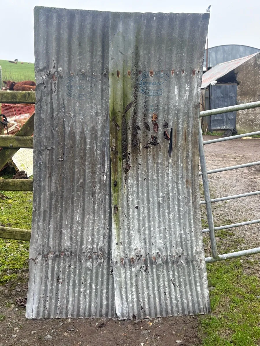 Roof galvanize - Image 1
