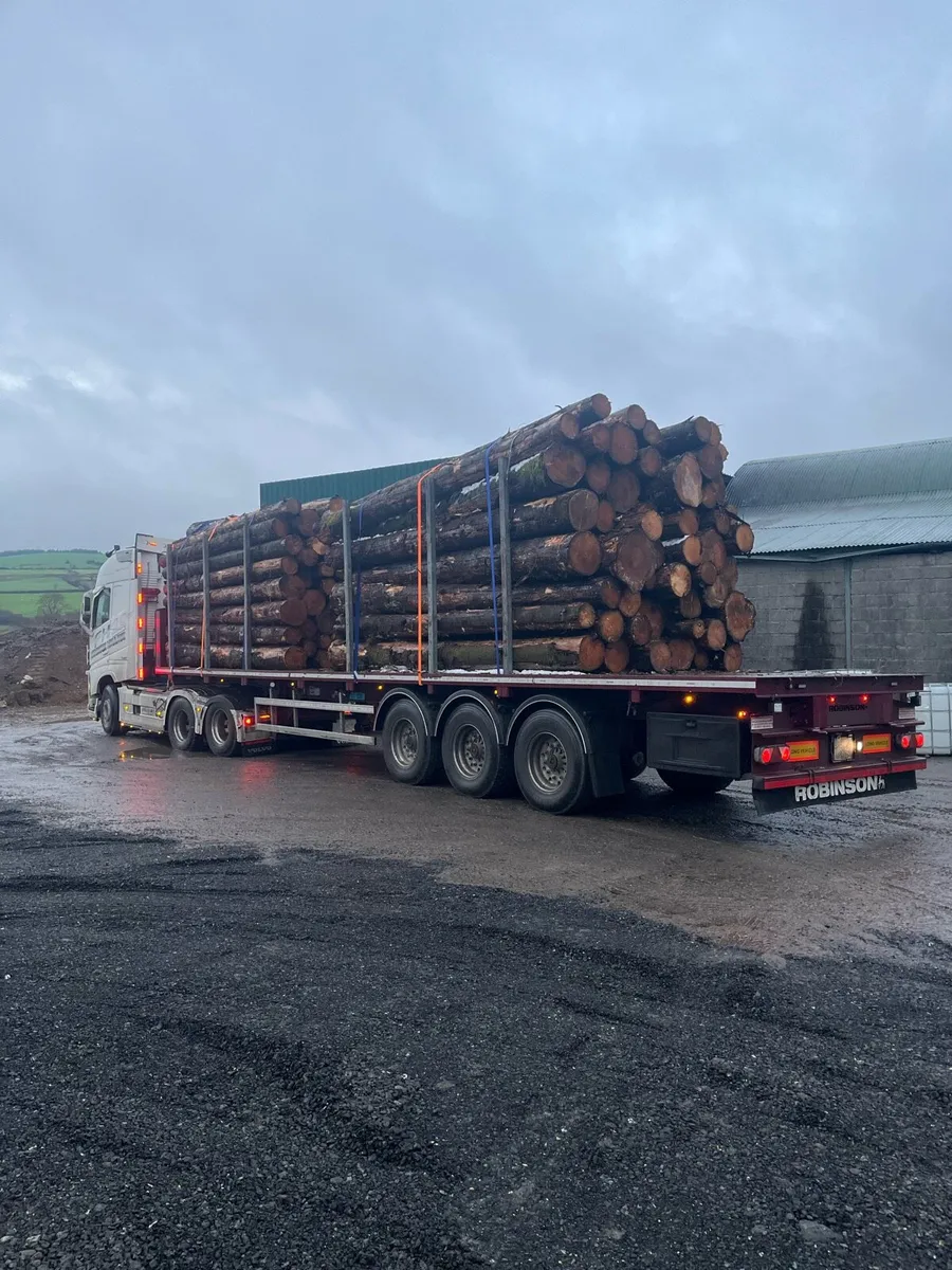 Artic Driver wanted wicklow/kildare/carlow - Image 2