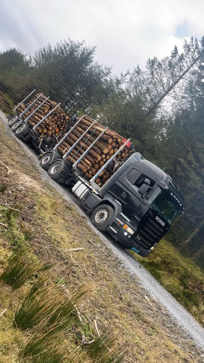 Artic Driver wanted wicklow/kildare/carlow - Image 3