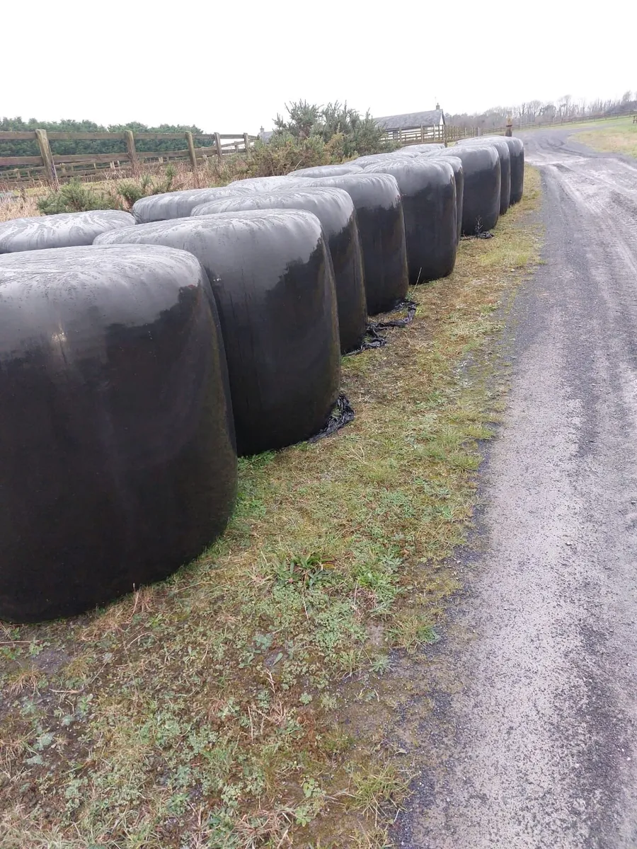 Haylage for sale - Image 1