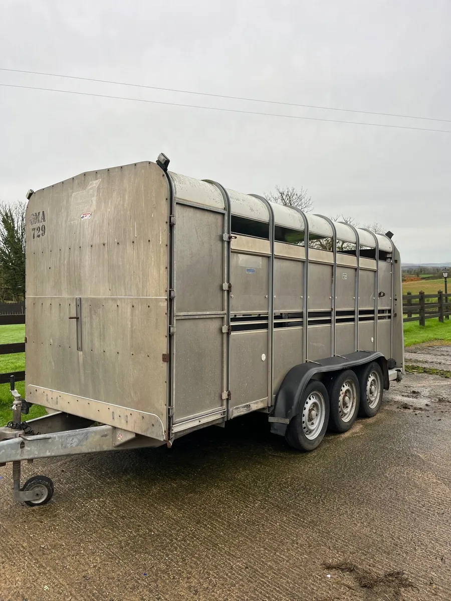 14ft Ifor Williams trailer - Image 1
