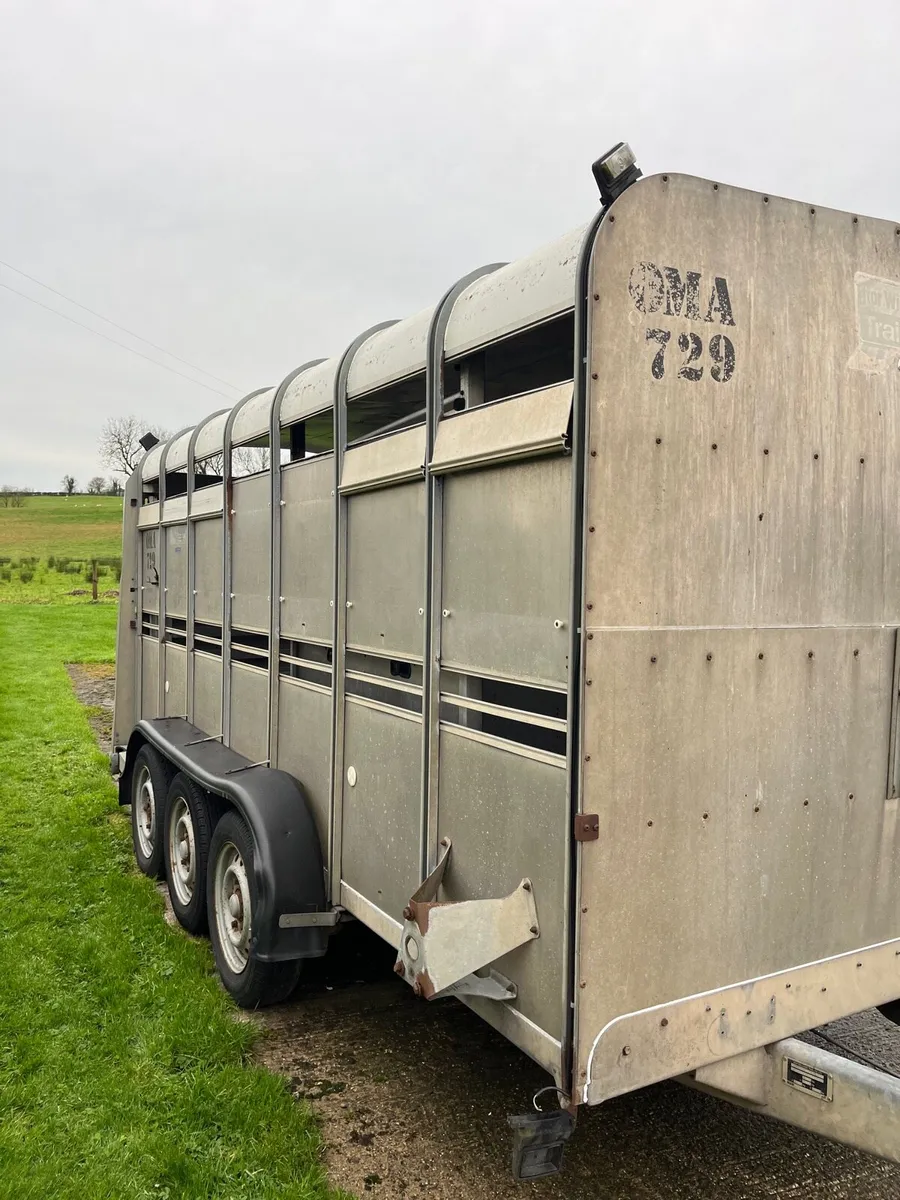 14ft Ifor Williams trailer - Image 2