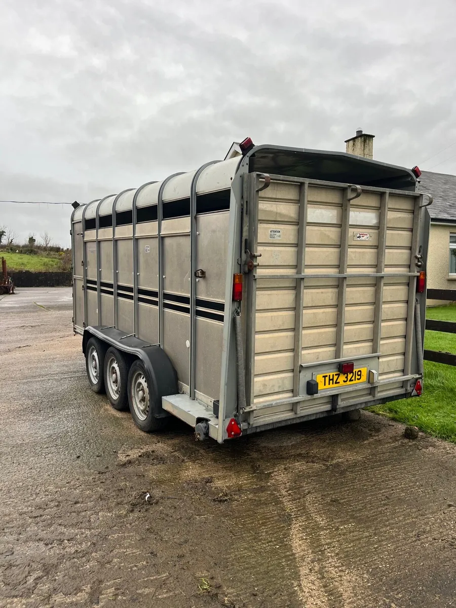14ft Ifor Williams trailer - Image 3
