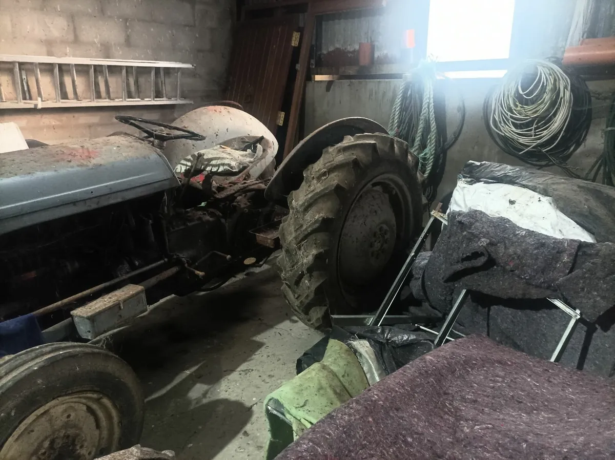 Tractor  Massey Ferguson Diesel 20 - Image 4
