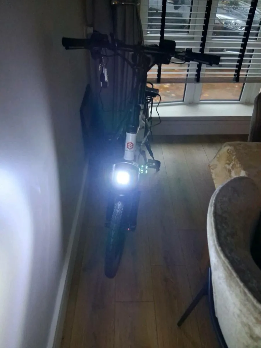 Electric bike - Image 2