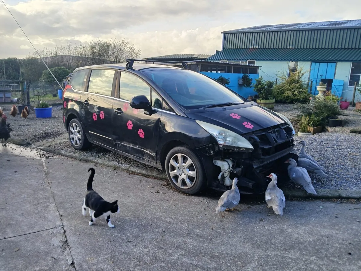 Peugeot 5008 - Image 2