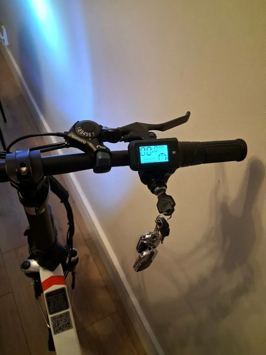 Electric bike - Image 1