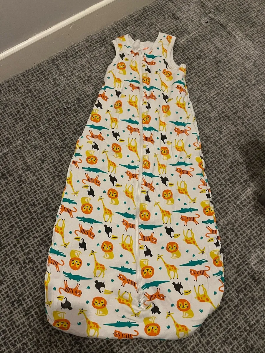 Toddler Sleeping bag