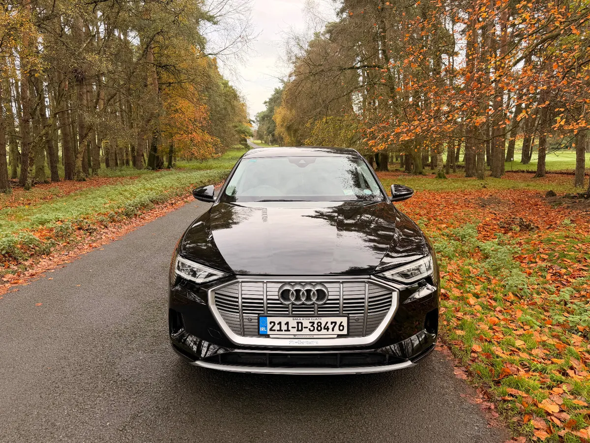 Audi e-tron 2021 50 Quattro - Image 2