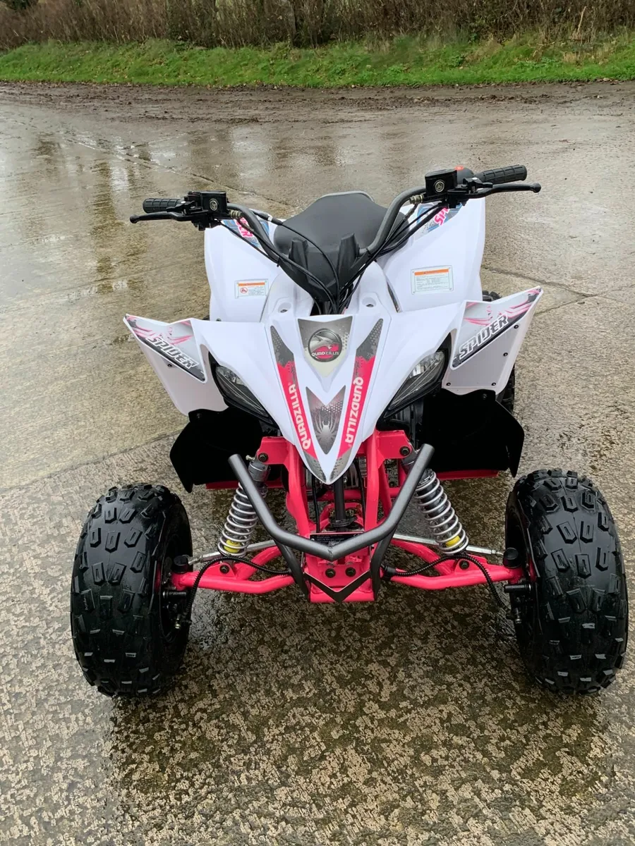 Quadzilla Spider 110cc - Image 1
