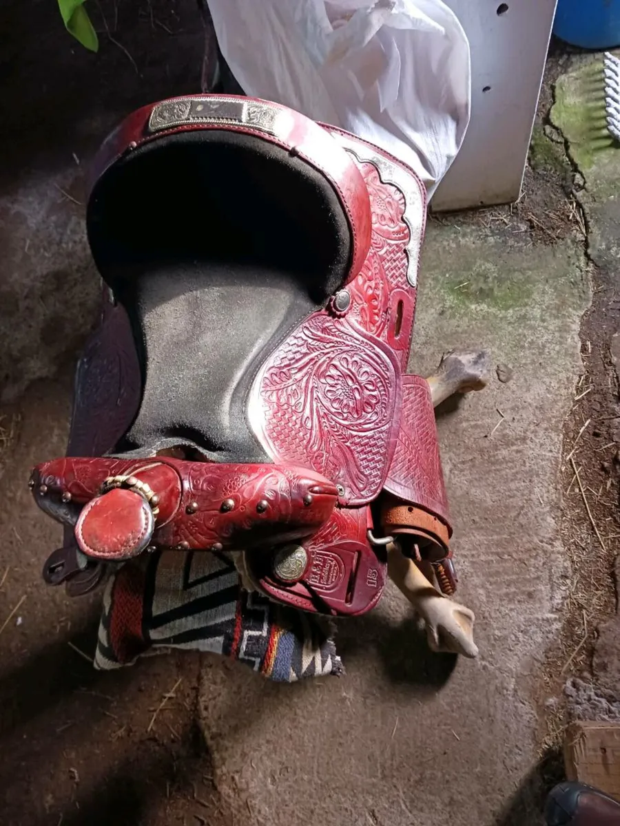 Western saddles - Image 3