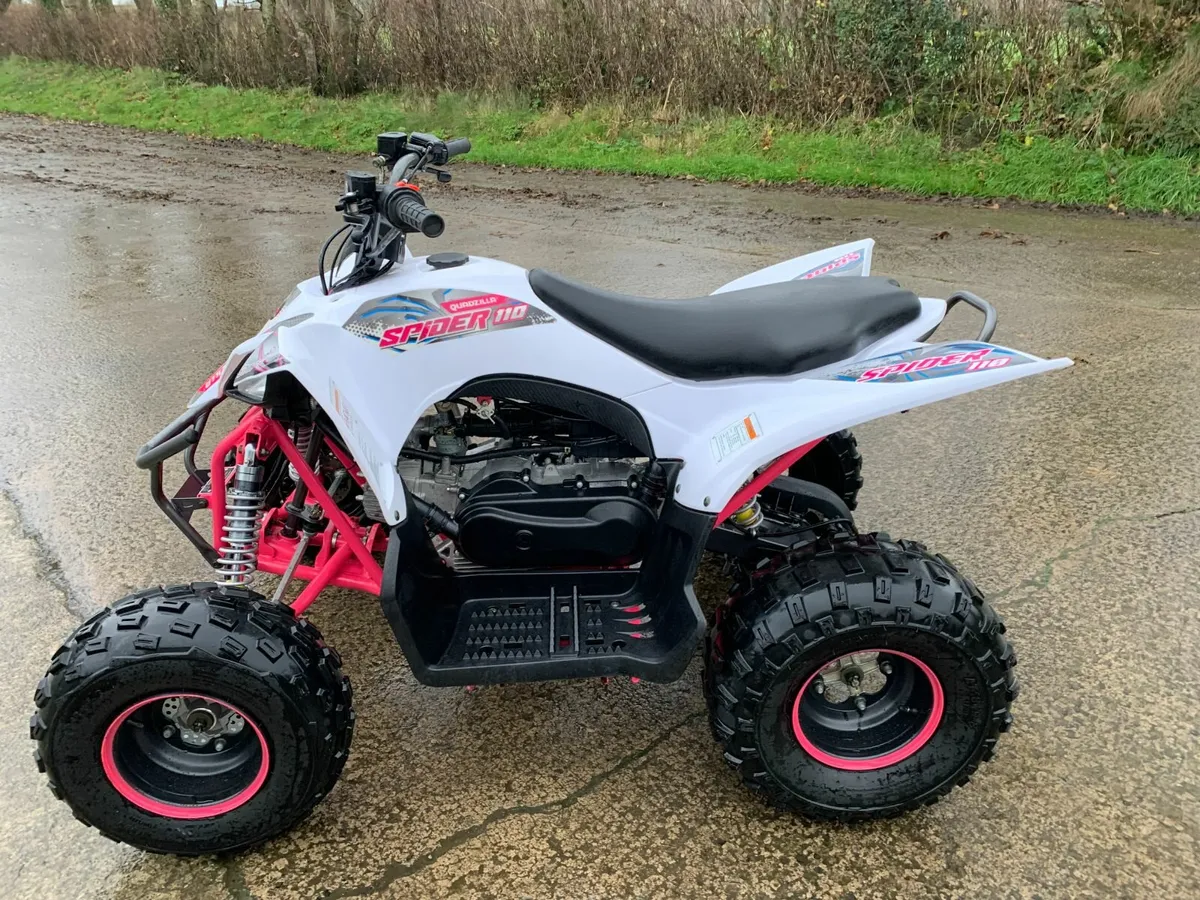 Quadzilla Spider 110cc - Image 2