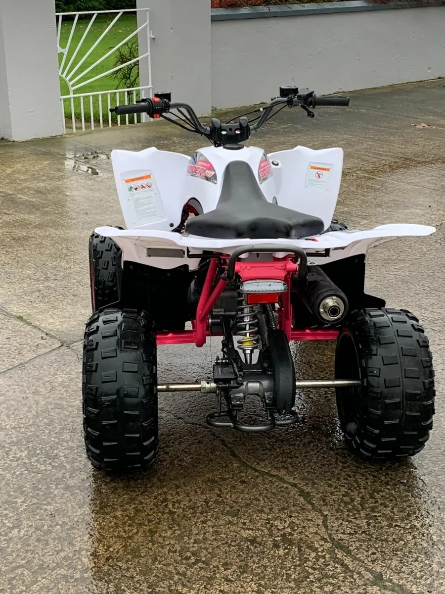 Quadzilla Spider 110cc - Image 4