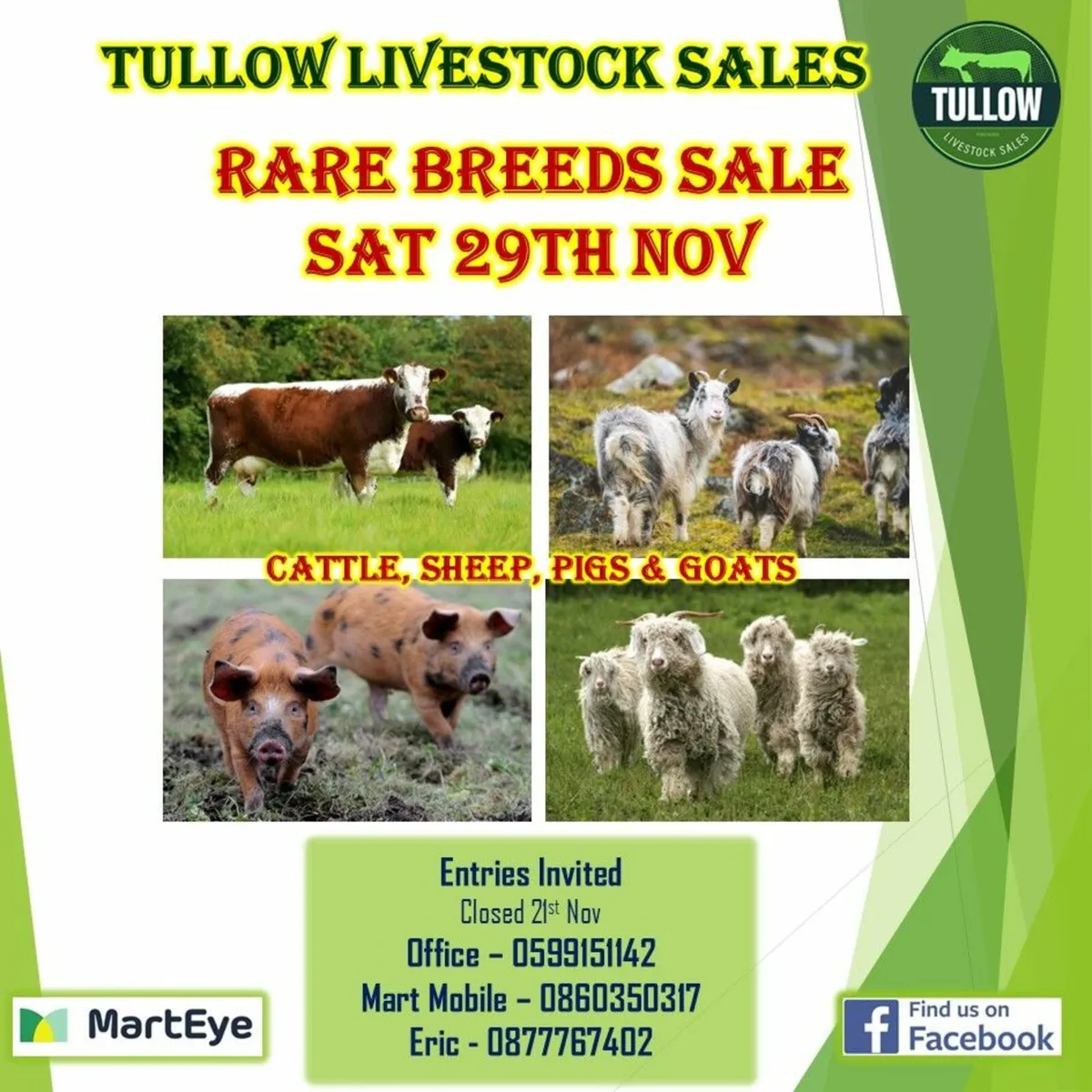 Rare Breeds Sale - Tullow Mart