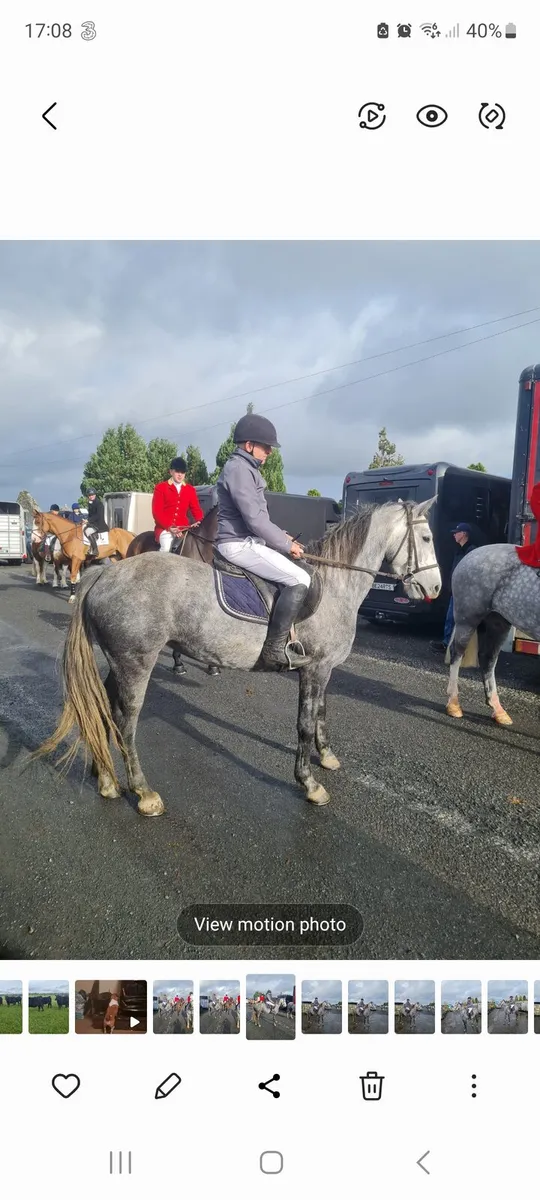 15,2 + pony. - Image 2