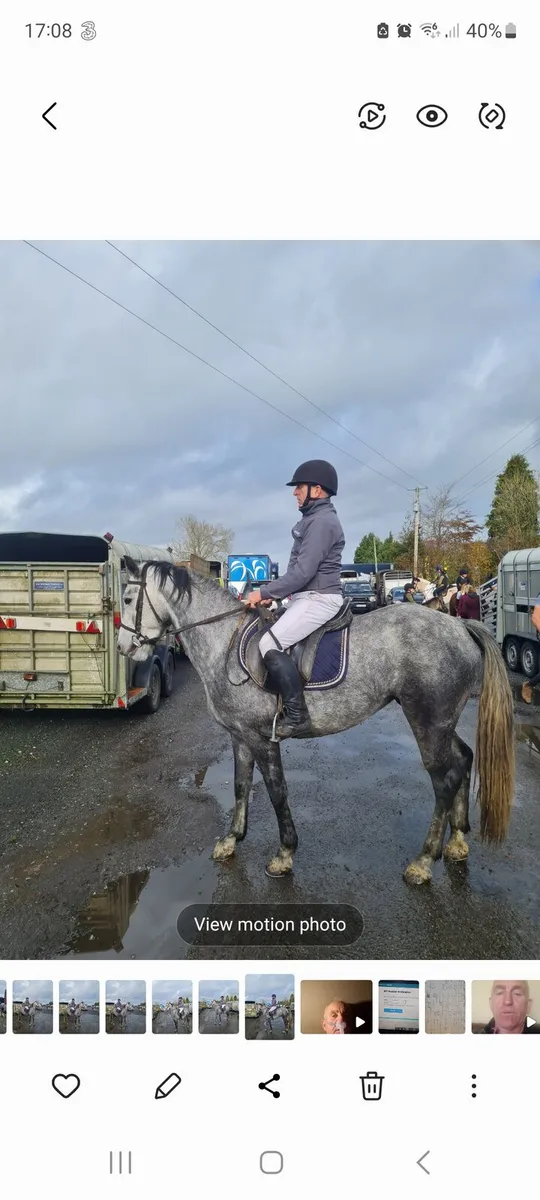 15,2 + pony. - Image 3