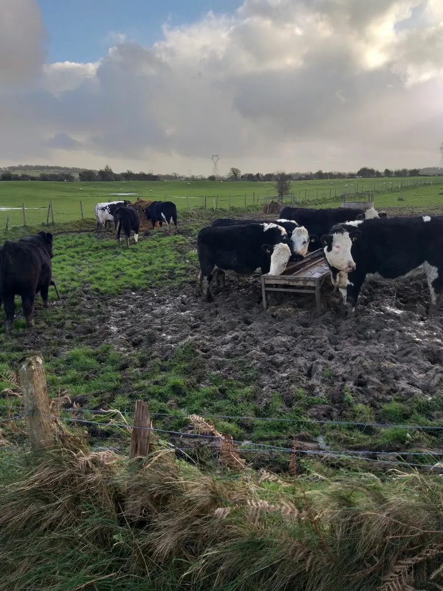 Farm worker required