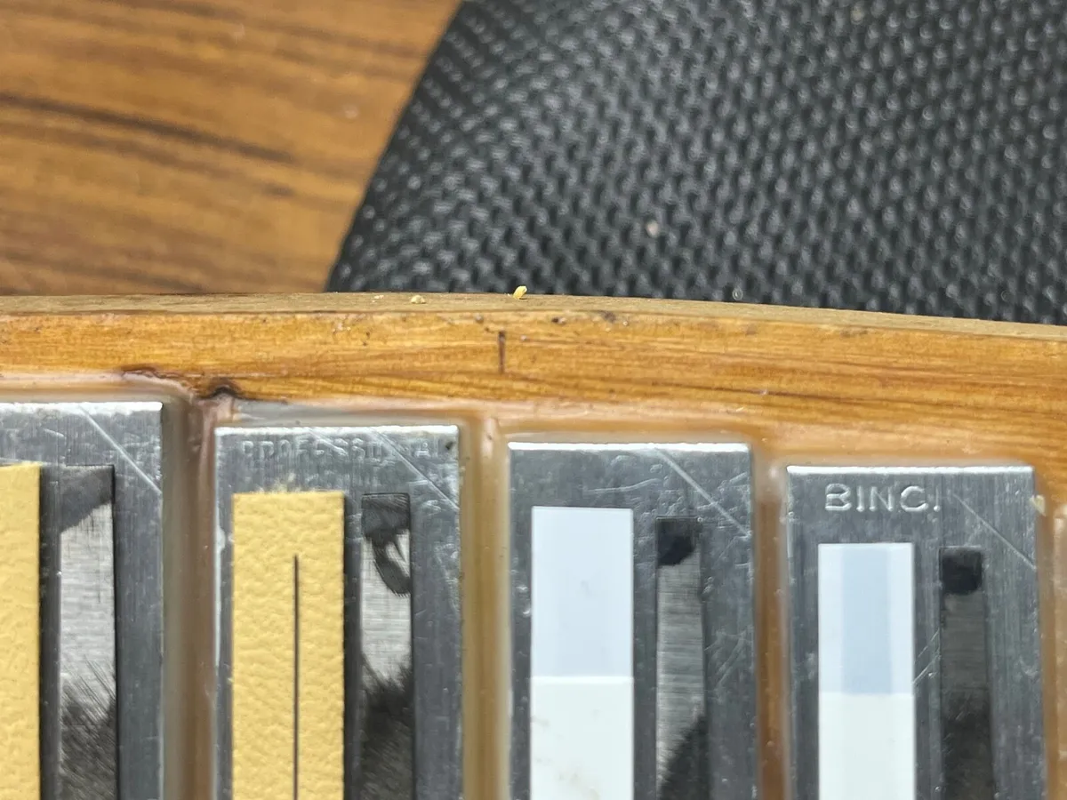 Accordion Reeds Binci - Image 1