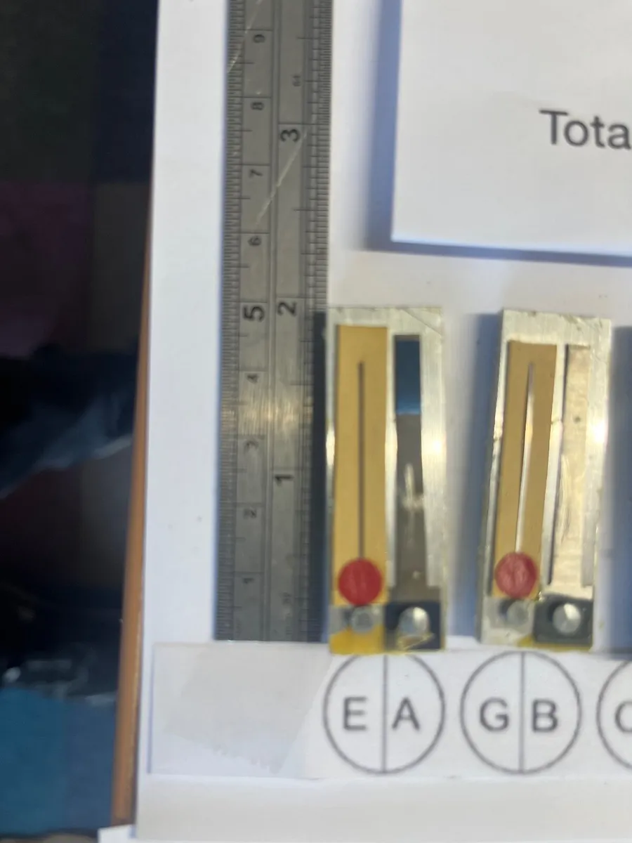 Accordion Reeds Binci - Image 2