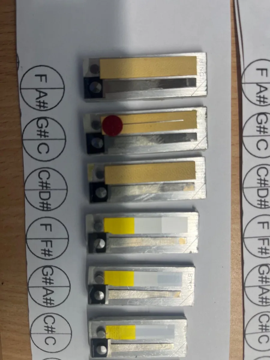 Accordion Reeds Binci - Image 3