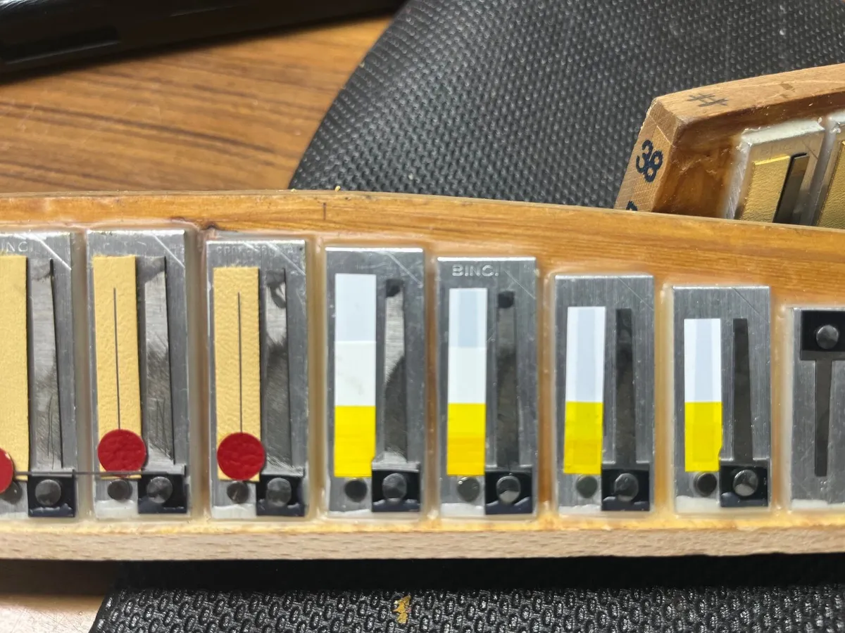 Accordion Reeds Binci - Image 4