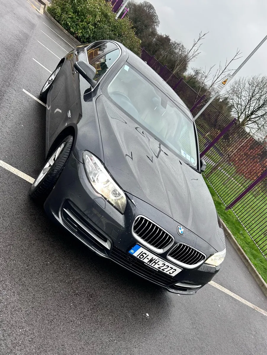 161 BMW 520d SE AUTO - Image 1