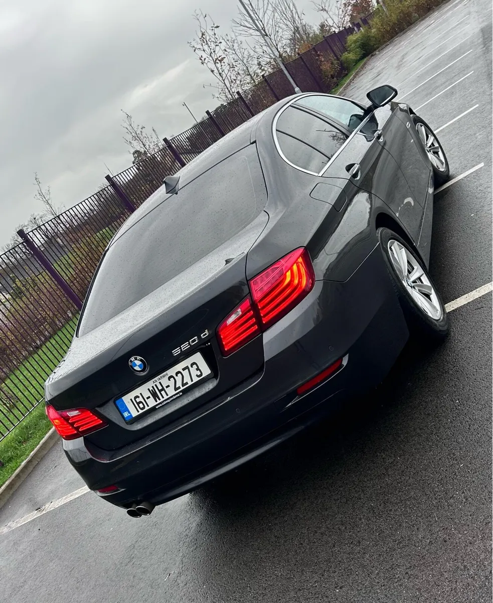 161 BMW 520d SE AUTO - Image 2
