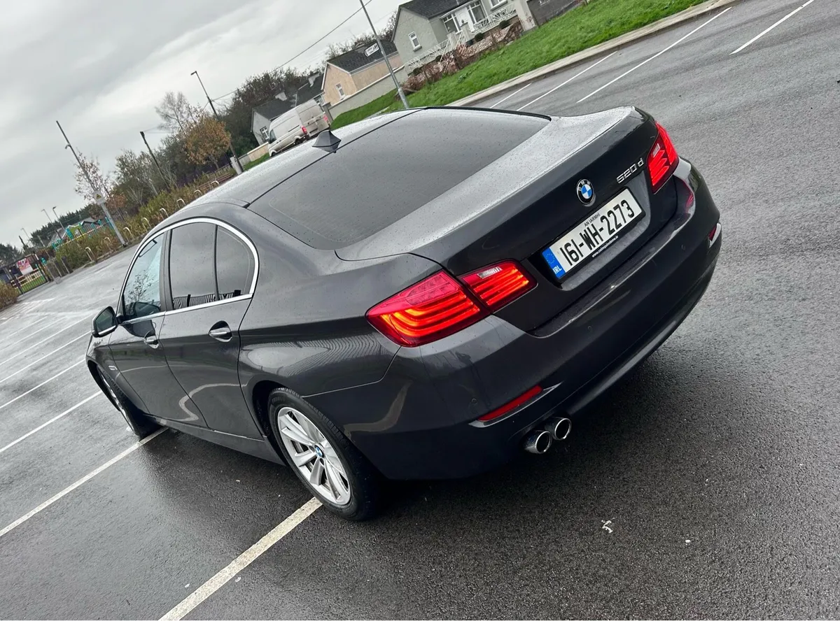 161 BMW 520d SE AUTO - Image 3