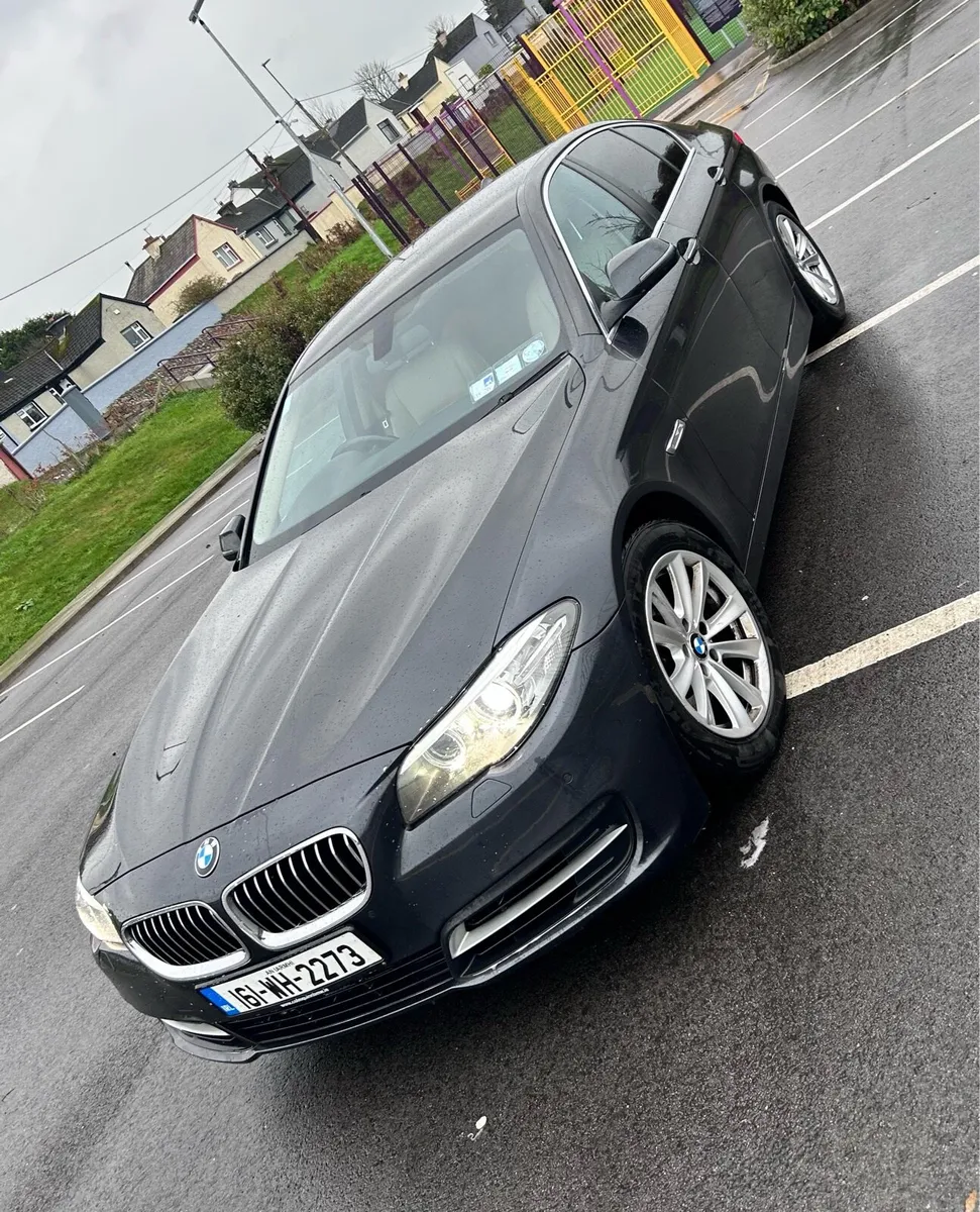 161 BMW 520d SE AUTO - Image 4