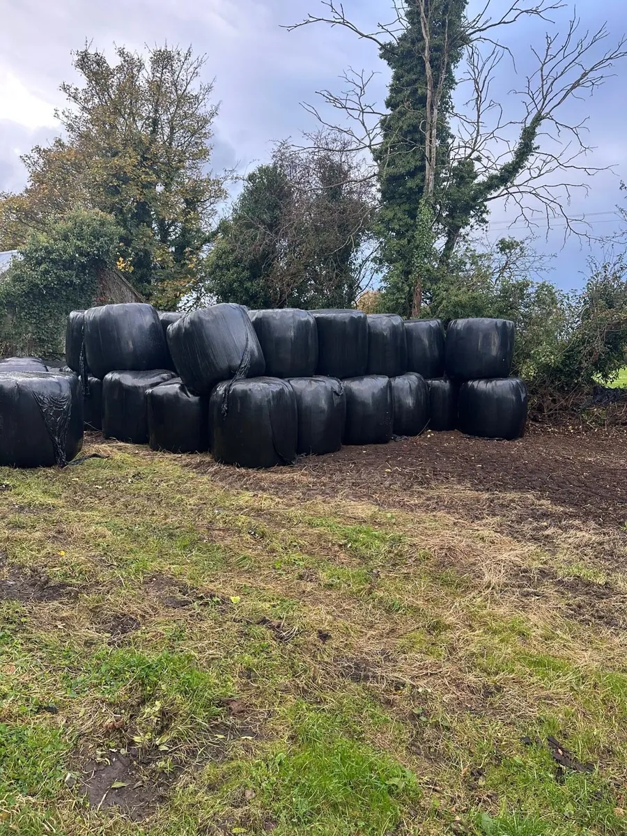 Silage Bales