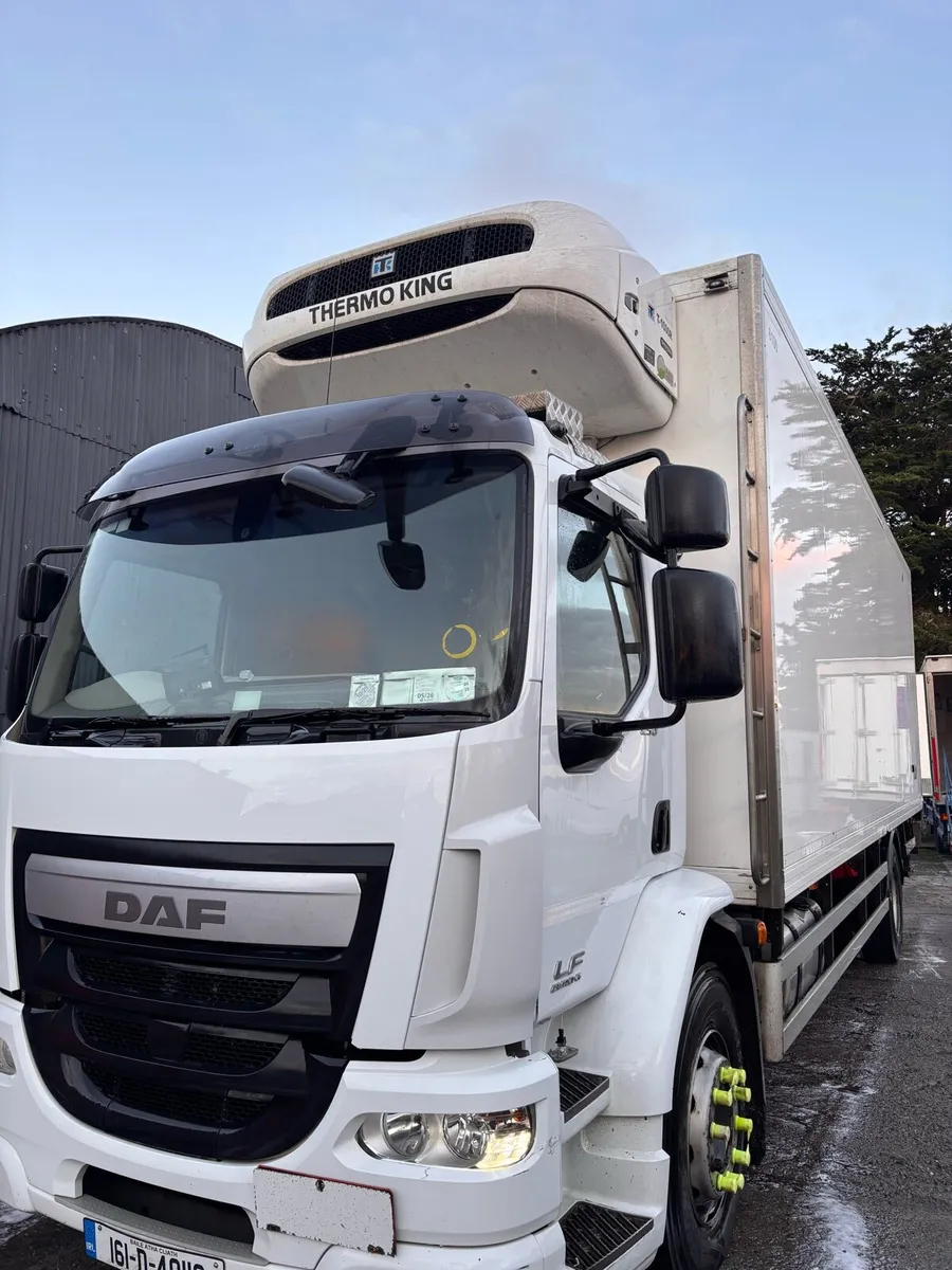 Daf lf truck euro 6 250 - Image 2