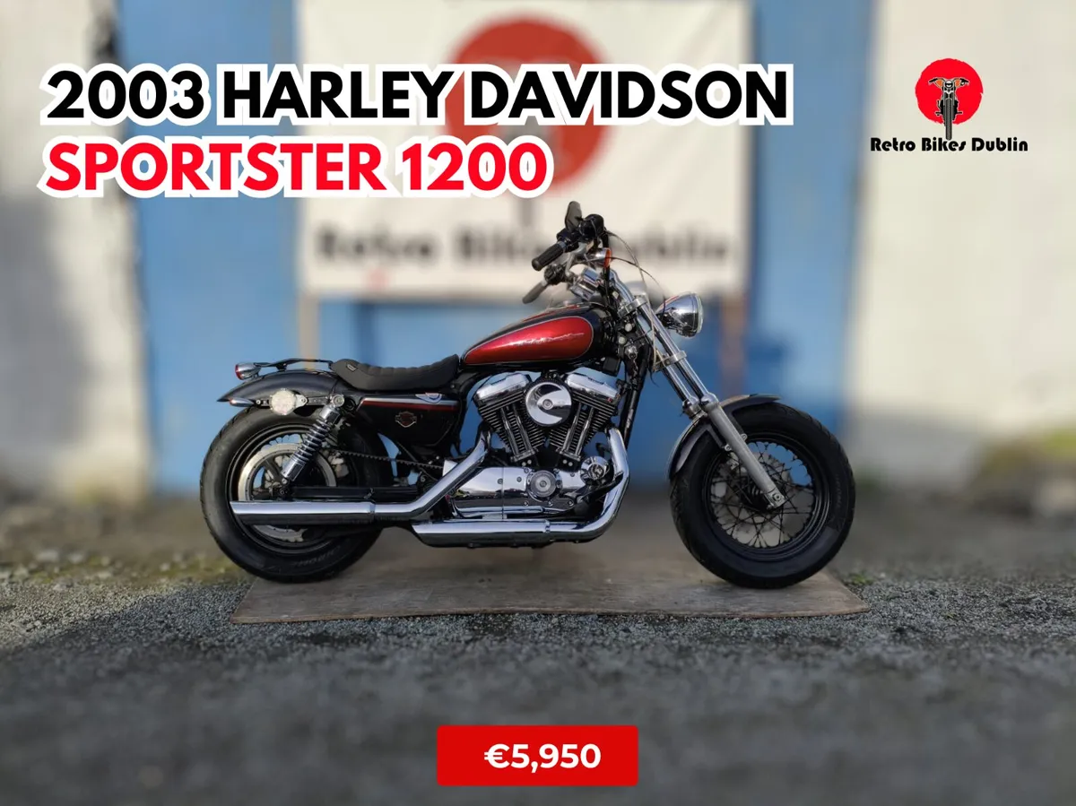 2003 Harley Davidson Sportster 1200 - Image 1