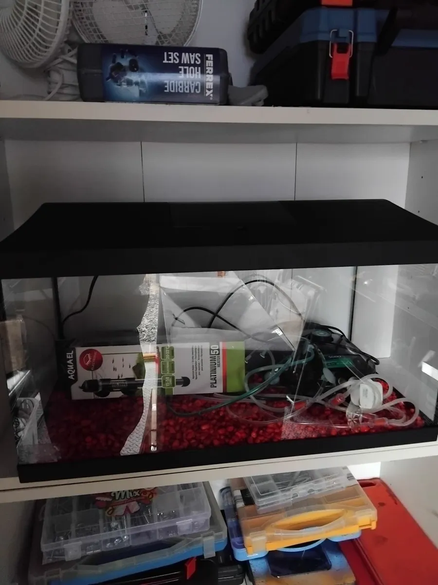 Fish Tank - Image 1