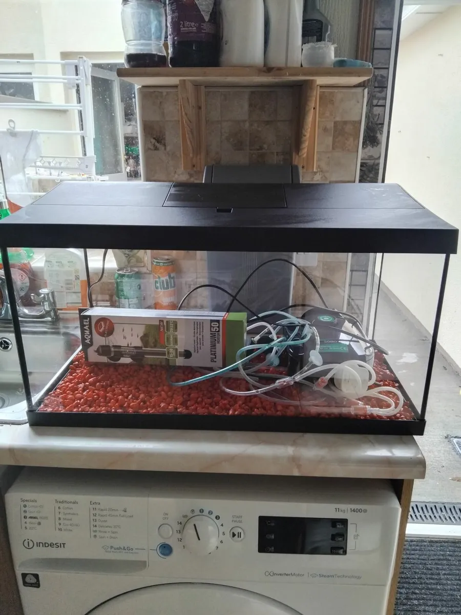 Fish Tank - Image 3