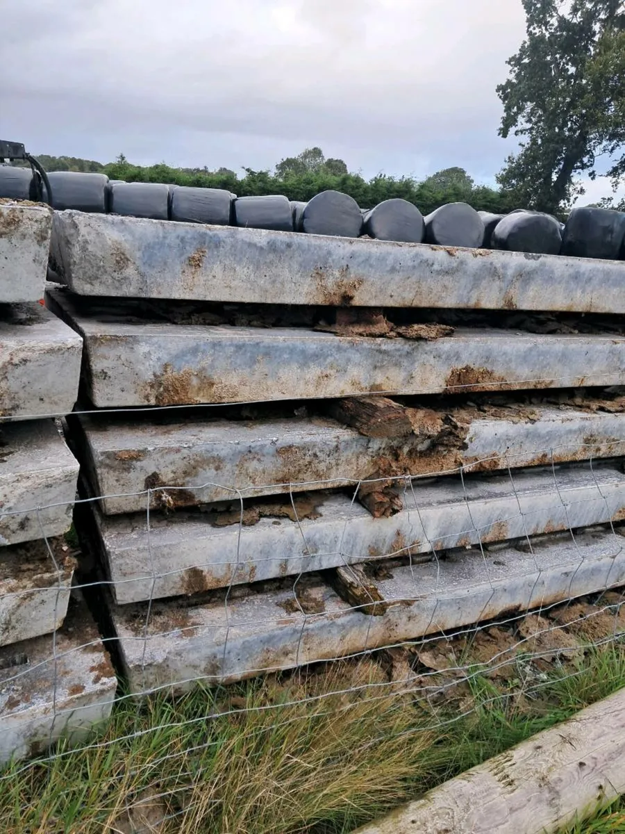 11 ft 6 slats  and 6ft dung fork - Image 3