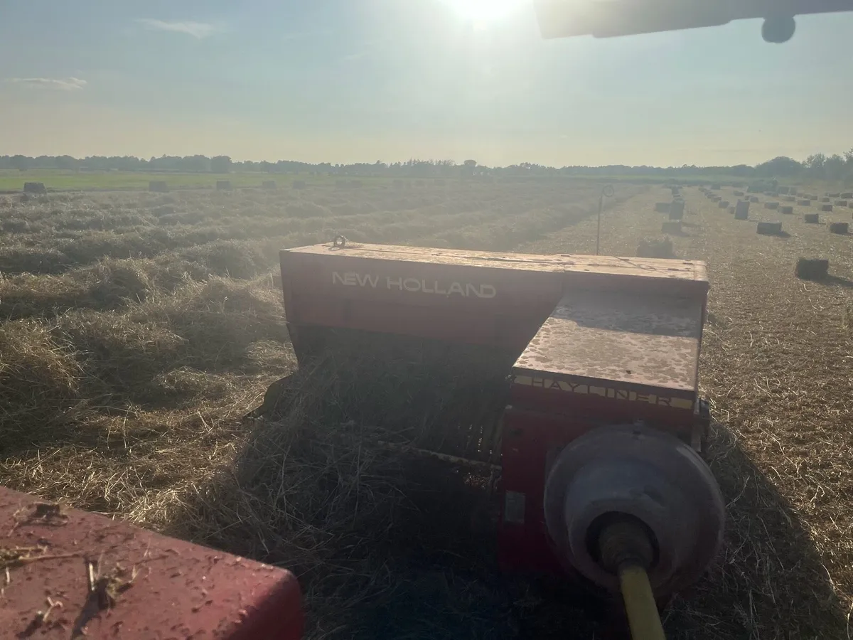 Square bales hay - Image 4