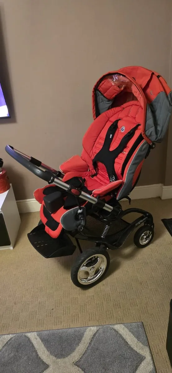 Special need buggy - Image 1