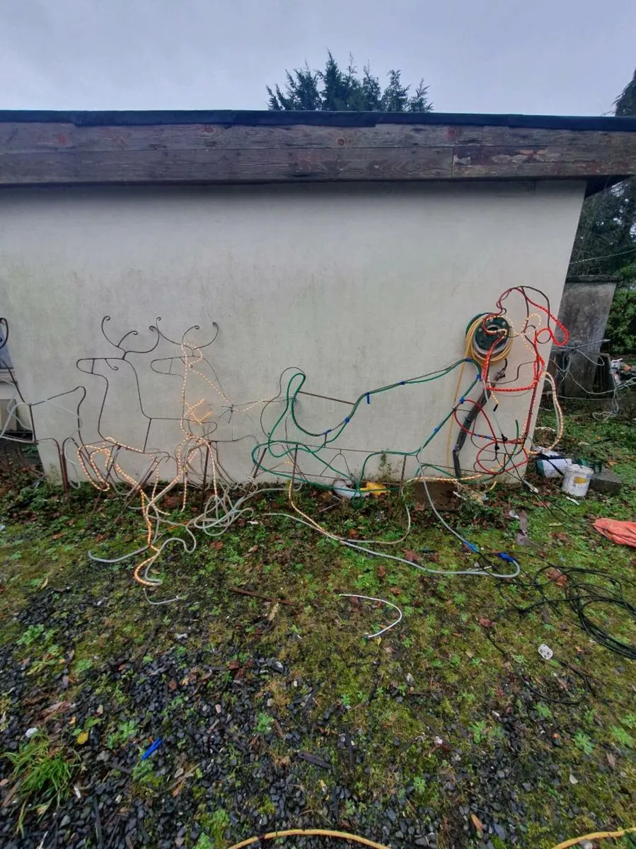 Outdoor Christmas displays - Image 4