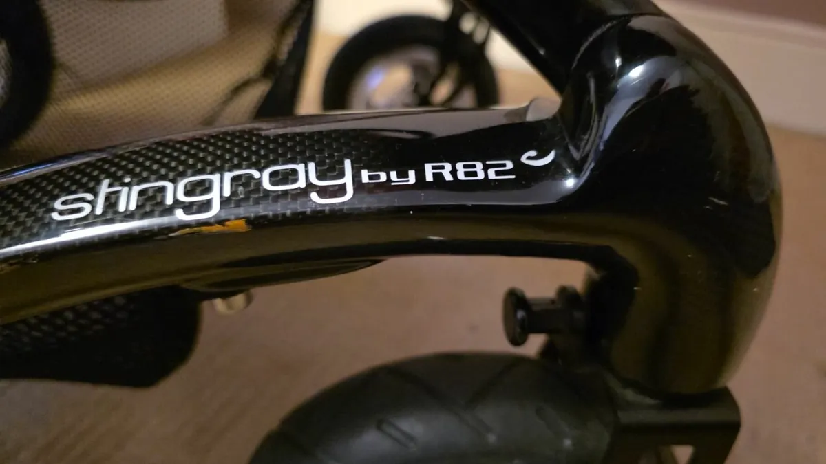 Special need buggy - Image 2