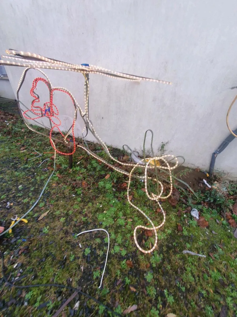 Outdoor Christmas displays - Image 2