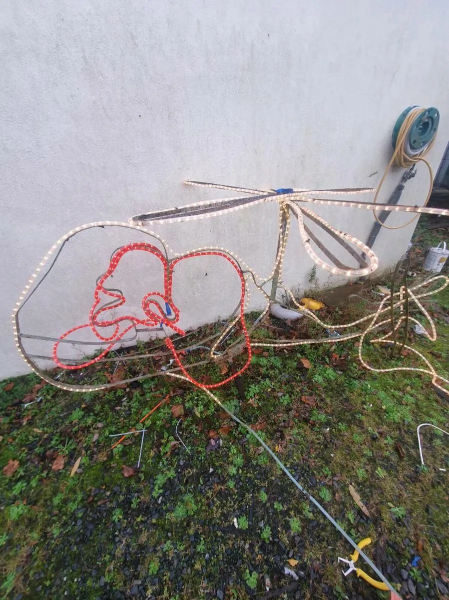 Outdoor Christmas displays - Image 3