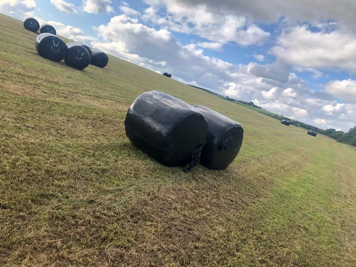 Silage bales - Image 2