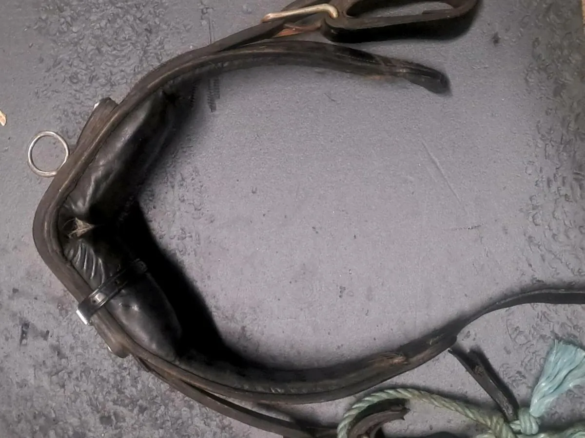 Driving harness - Image 1